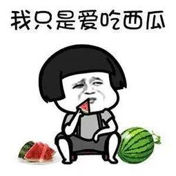 娱乐圈吃瓜动画片叫什么,揭秘“吃瓜”动画片的幕后故事