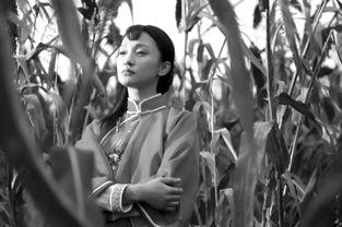 红高粱电影演员表介绍