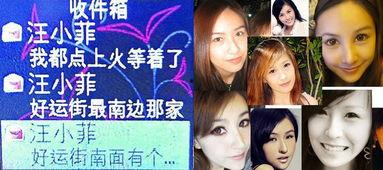 六月娱乐台,精彩纷呈，夏日狂欢盛宴